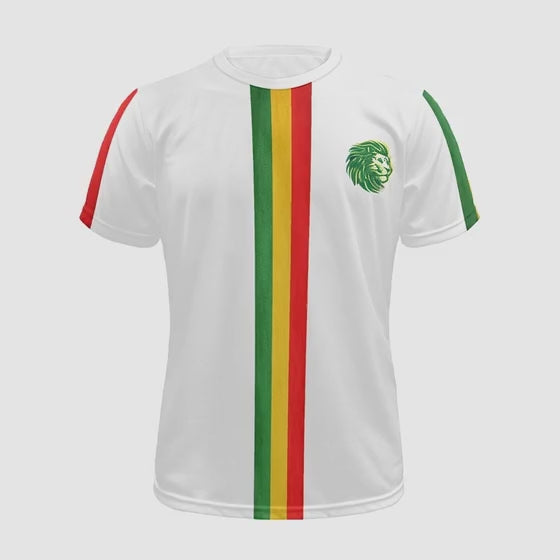 Sénégal football Jersey